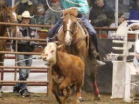 Blake Williamson of Duchess, Alta. had a rough night at the tie-down roping event when a penalty bumped up his score to 18.3 at the Hanna Indoor Pro Rodeo. Jackie Irwin/Postmedia