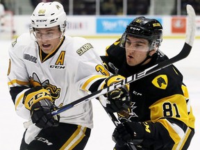 Sarnia Sting's Jamieson Rees (39) battles Hamilton Bulldogs' Liam Van Loon (81) in the first period at Progressive Auto Sales Arena in Sarnia, Ont., on Friday, Sept. 20, 2019. Mark Malone/Chatham Daily News/Postmedia Network
