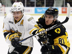 Sarnia Sting's Jamieson Rees (39) battles Hamilton Bulldogs' Liam Van Loon (81) in the first period in their OHL season opener at Progressive Auto Sales Arena in Sarnia, Ont., on Friday, Sept. 20, 2019. Mark Malone/Chatham Daily News/Postmedia Network