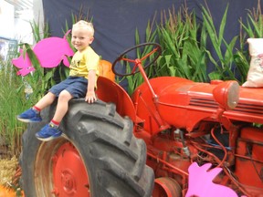 Cohen Gammie, 2, sits atop the tractor wheel which was part of the display in the Lucknow arena, at the Fall Fair. Hannah MacLeod/Kincardine News