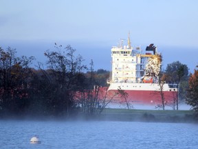 Canada Steamship Lines Welland heads downbound on the St. Mary's River after exiting Soo Locks in Sault Ste. Marie, Mich., on Tuesday, Oct. 8, 2019. (BRIAN KELLY/THE SAULT STAR/POSTMEDIA NETWORK)