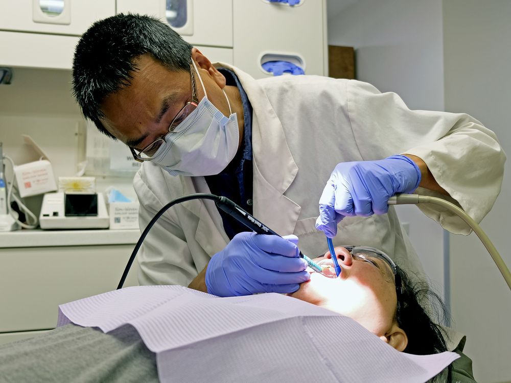 seniors-over-87-can-apply-to-federal-dental-plan-starting-next-week