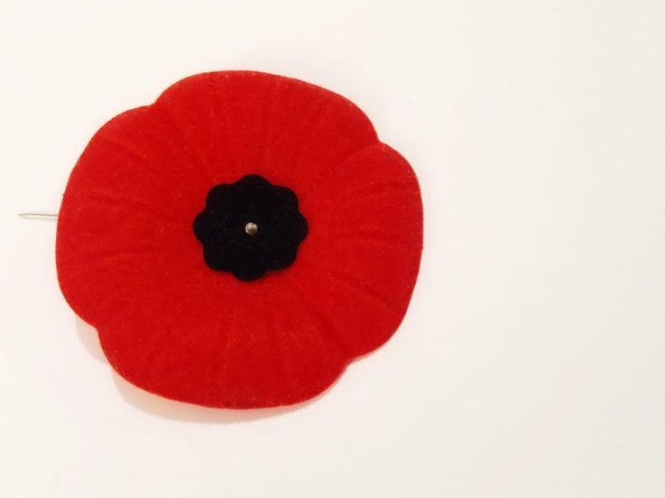 The Royal Canadian Legion launches 2021 National Poppy Campaign