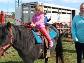 Adelaide King, who cottages in Tiverton, finally gets comfortable in the saddle on the pony rides at the Fall Fair, which was held this past weekend on Saturday, October 5. Hannah MacLeod/Kincardine News