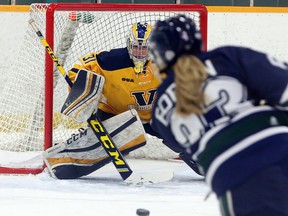 Laurentian Voyageurs goaltender Shanna Dolighan (31) prepares to make a save on Nipissing Lakers forward Marilyn Fortin (93) during OUA women's hockey action at Gerry McCrory Countryside Sports Complex in Sudbury, Ontario on Thursday, October 17, 2019.
