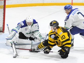 The Nipawin Hawks say they can manage a hockey season even if they can only half fill the arena.  File photo.