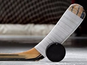 hockey stick and puck copy