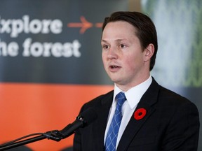 Devin Dreeshen, Minister of Agriculture and Forestry