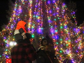 The Badiuk family - Scott, Jessie and 18-month-old Gordon - admire the lights on Kenora's Christmas tree following the annual lighting ceremony in November 2019.