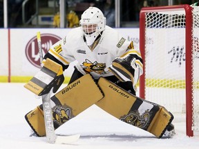 Sarnia Sting goalie Ben Gaudreau plays against the Kingston Frontenacs in the first period at Progressive Auto Sales Arena in Sarnia, Ont,. on Sunday, Oct. 20, 2019. Mark Malone/Chatham Daily News/Postmedia Network