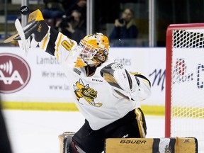 Sarnia Sting goalie Ben Gaudreau makes a blocker save against the Niagara IceDogs in the second period at Progressive Auto Sales Arena in Sarnia, Ont., on Friday, Nov. 29, 2019. Mark Malone/Chatham Daily News/Postmedia Network