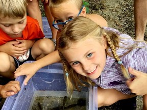 Campers at the Frontenac Arch Biosphere Nature Camp at Kendrick's Park explore the outdoors in 2018. (FILE PHOTO)