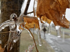 The Weather Network issued a special weather statement tonight for the North Bay Area.