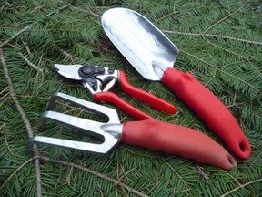 If you are you a lazy gardener and cannot seem to find tools in the spring, then organize your equipment so that everything is handy when you want it, writes columnist Denzil Sawyer.