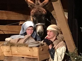 Mary and Joseph and the baby Jesus in the stable during a production of the Living Nativity.