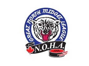 Great North Midget League logo
