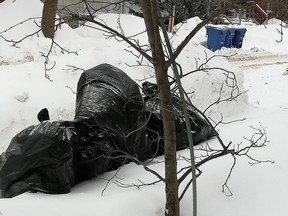East Ferris council heard 30 per cent of residents or 500 to 600 people are not following the municipal waste bylaw. The bylaw requires garbage bags to be placed in a plastic container with a lid for collection.