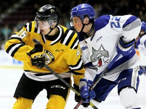 Sarnia Sting's Theo Hill (16) battles Sudbury Wolves' Jack Thompson (22) in the third period at Progressive Auto Sales Arena in Sarnia, Ont., on Saturday, Jan. 18, 2020.
