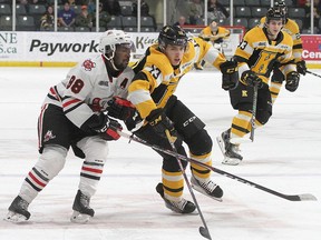 Kingston Frontenacs left-winger Francesco Arcuri gets held up by Niagara IceDogs defenceman Elijah Roberts during Ontario Hockey League action at the Leon's Centre in Kingston on Jan. 26. (Ian MacAlpine/The Whig-Standard)