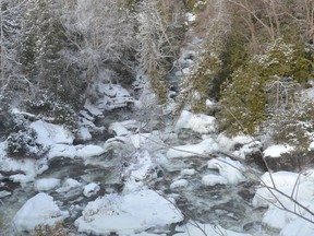 The Sydenham River at the Inglis Falls Conservation Area on Thursday, January 30, 2020 in Georgian Bluffs, Ont. Rob Gowan/The Owen Sound Sun Times/Postmedia Network