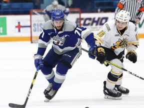 Sudbury Wolves' David Levin, left, and Sarnia Sting's Theo Hill chase the puck at the Sudbury Community Arena in Sudbury, Ont., on Friday, Feb. 14, 2020.