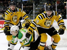 Sarnia Sting's Theo Hill (16) and Colton Kammerer (77) knock down London Knights' Matvey Guskov in the second period at Progressive Auto Sales Arena in Sarnia, Ont., on Saturday, Feb. 1, 2020. Mark Malone/Chatham Daily News/Postmedia Network