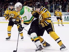 London Knights' Matvey Guskov (77) protects the puck Sarnia Sting's Ryan Mast (3) in the second period at Progressive Auto Sales Arena in Sarnia, Ont., on Saturday, Feb. 1, 2020. Mark Malone/Chatham Daily News/Postmedia Network