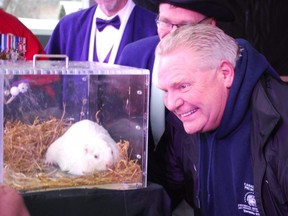 Ontario Premier Doug Ford posed for pictures with Wiarton Willie Feb. 2, 2020, in Wiarton. POSTMEDIA NETWORK