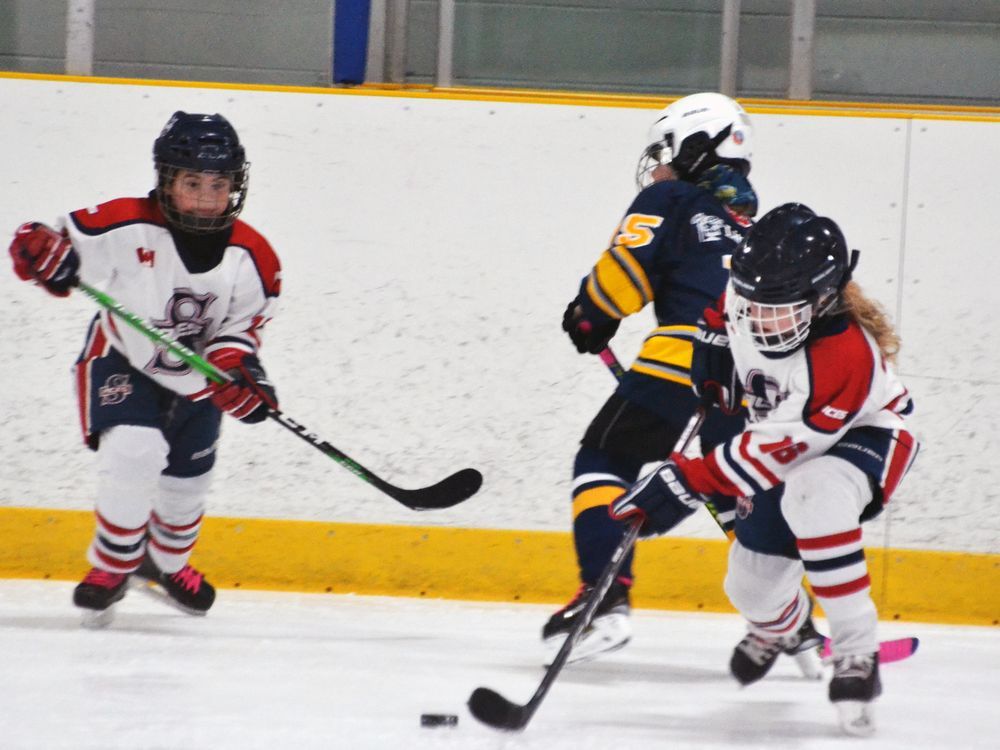 Return of minor hockey will need creativity | The Stratford Beacon Herald