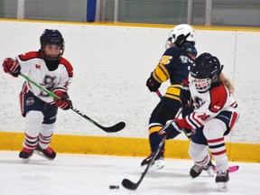 In this file photo, local hockey players compete in a novice home playoff game between the Stratford Aces and the Ilderton Jets at the Stratford Rotary Complex. 
Galen Simmons