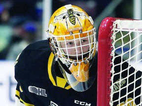 Goalie Ben Gaudreau, in OHL action for the Sarnia Sting. Gaudreau starred for the North Bay Major Trappers of the Great North Midget Hockey League before becoming a first-round draft pick by Sarnia. POSTMEDIA