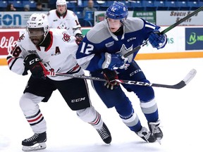 Matej Pekar of the Sudbury Wolves battles for position with Elijah Roberts of the Niagara Ice Dogs during Sunday Night OHL action from the Sudbury Community Arena. Gino Donato for The Sudbury Star