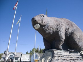 The Giant Beaver Statue in Beaverlodge, Alta.