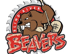 Beavers pix