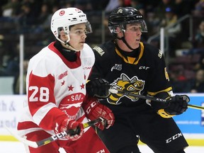 Sarnia Sting's Ashton Reesor (4) leans on Soo Greyhounds' Kalvyn Watson (28) in the second period at Progressive Auto Sales Arena in Sarnia, Ont., on Sunday, March 1, 2020. Mark Malone/Chatham Daily News/Postmedia Network