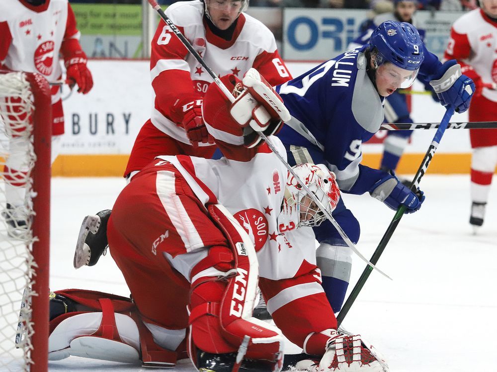 Alberta Province of Canada Hockey Sign With Salvaged Hockey 