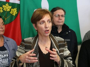 Nickel Belt MPP France Gelinas makes a point during a press conference in Sudbury, Ont. on Tuesday November 27, 2018.