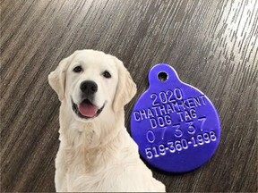 Pet and Animal Wildlife Rescue is allowing residents to order dog tags through its website. Handout/Postmedia Network