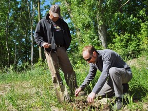Chuck Pegg and Greg Van Every, environmental project coordinator with the Lower Thames Valley Conservation Authority, plant trees on Pegg's property in the Rondeau Bay area June 6, 2018. (Tom Morrison/Postmedia Network)