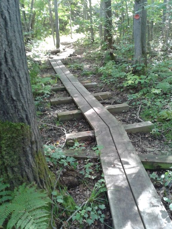 Stranded hiker safe Sault Star