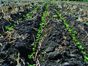 Virtually all seeding is done in Saskatchewan.