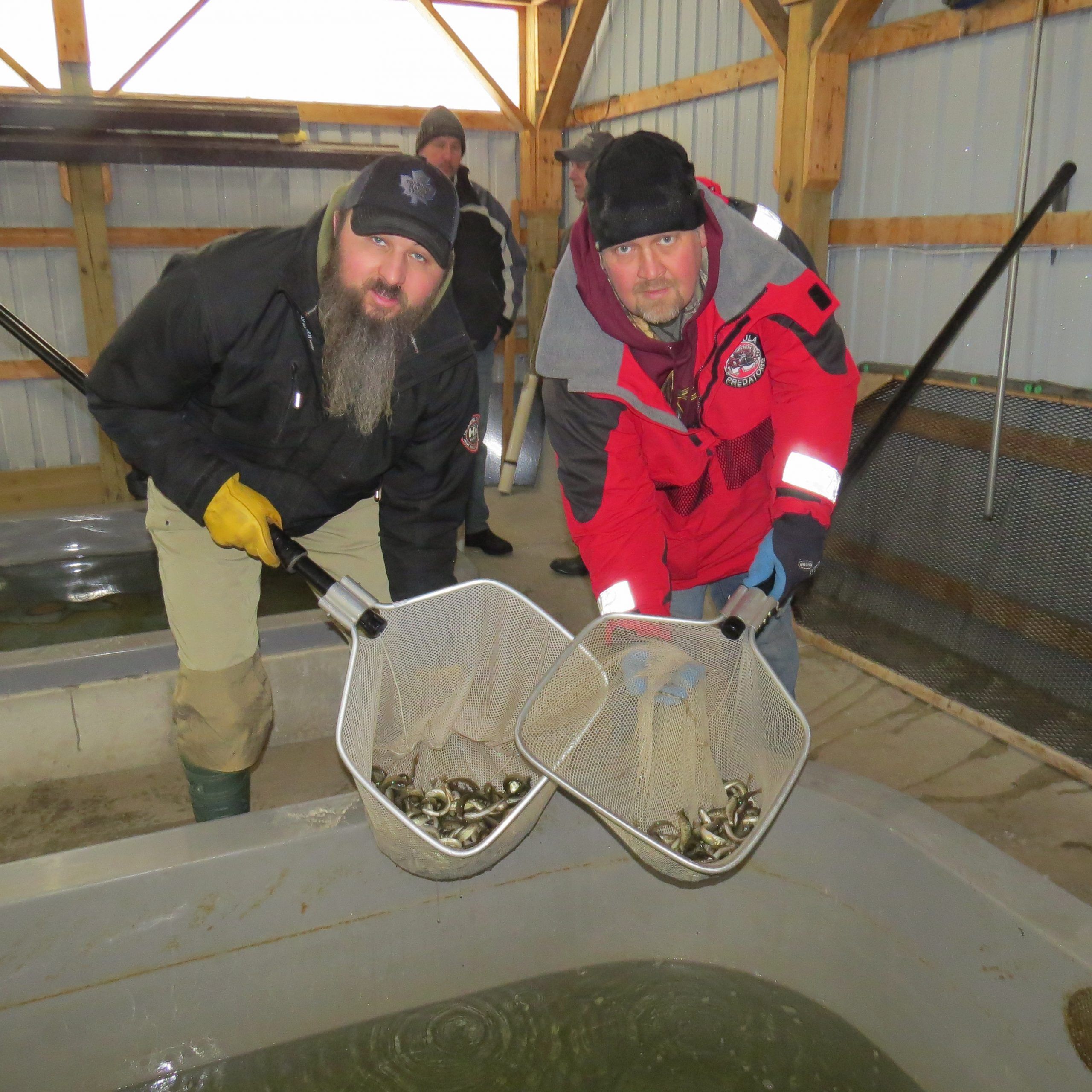 Local spring trout derby to start Friday | Owen Sound Sun Times