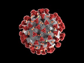 An image of the novel coronavirus, COVID-19.