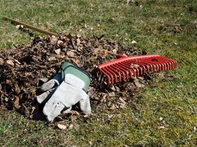 Bluewater councillors passed a motion to officially provide springtime green waste pickup to urban residents. File photo.