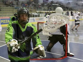 Registration for the Parkland Posse Lacrosse Association's spring box season opened on Feb. 17. Pictured, Parkland Posse Kobe Breast corrals the ball behind the Rocky Mountain Crude net during Rocky Mountain Lacrosse League action at the Grant Fuhr Arena in Spruce Grove on Friday, Jun. 22, 2019. Photo by Josh Aldrich/Reporter/Examiner.
