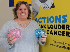 Paula McKinlay, with the Canadian Cancer Society in Sarnia. (File photo)