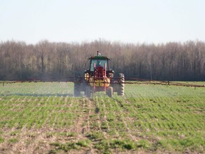 spray_wheat_Spring07_548