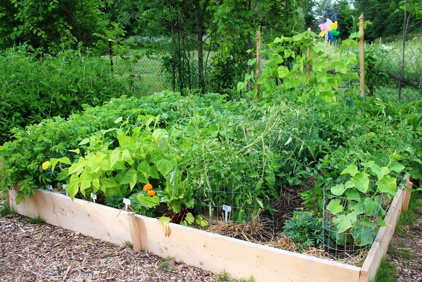 Helping to grow food security | The Kingston Whig Standard