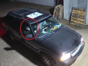 On May 28, 2020 2 suspects in a GMC Jimmy SUV went to the back of a business in Hanna and stole some batteries from a bin.  The batteries were likely taken for the purpose of selling to a recycler.  The GMC SUV has the sun roof covered and is very noticeable.  One of the suspects is wearing a ball hat and light coloured coveralls with possibly paint on them.