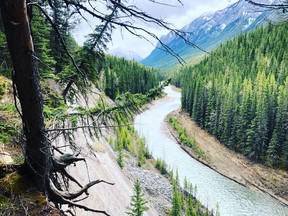 After a quiet few months in Banff National Park, the good news from Parks Canada is that starting June 1, some operations will gradually resume. People will soon be able to enjoy some trails, day use areas, green spaces, and some access for recreational boating. Photo credit Marie Conboy/ Postmedia.